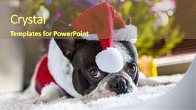  Presentation with christmas tree - Slides enhanced with santa costume under christmas background and a tawny brown colored foreground