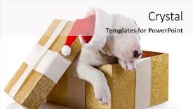  Presentation with champion - Amazing slides having santa hat as christmas backdrop and a  colored foreground