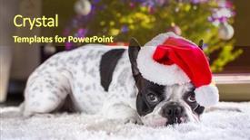  Presentation with champion - Audience pleasing slides consisting of santa hat under christmas backdrop and a tawny brown colored foreground