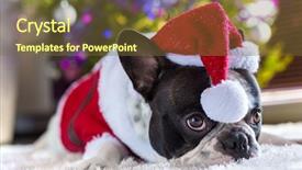  Presentation with christmas tree - Audience pleasing slides consisting of santa hat under christmas backdrop and a tawny brown colored foreground