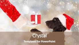  Presentation with dog christmas - Beautiful slides featuring santa outfit and christmas backdrop and a coral colored foreground