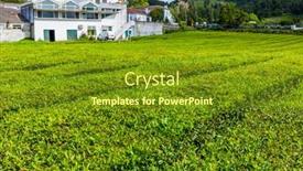  Presentation with tea plantation - Slide deck consisting of sao-miguel-azores-island-portugal background and a tawny brown colored foreground