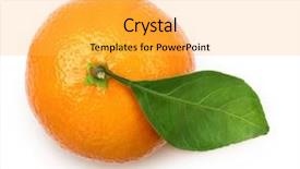  Presentation with fall leaves border white - Cool new theme with sap - ripe tangerine with leaves citrus backdrop and a yellow colored foreground