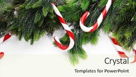  Presentation with christmas lights bulb decoration - Audience pleasing slide deck consisting of sapin - christmas decoration frame isolated backdrop and a soft green colored foreground