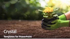  Presentation with summer flowers - Beautiful PPT layouts featuring sapling - gardener woman planting flowers backdrop and a tawny brown colored foreground