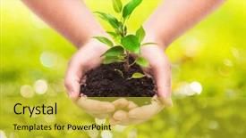  Presentation with india green natural - Colorful presentation enhanced with sapling - green plant in a child backdrop and a yellow colored foreground