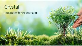  Presentation with plant - Cool new slide deck with sapling hands - hand watering small plant backdrop and a sky blue colored foreground