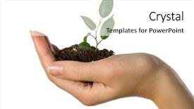  Presentation with respiration on plant - Slide set having sapling hands - plant in hand on white background and a white colored foreground
