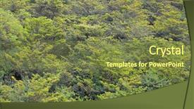  Presentation with plantation - PPT layouts enhanced with sapota sapodilla plantation aerial view background and a  colored foreground