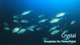  Presentation with sardines - Cool new slide set with sardines and mackerel fish live backdrop and a ocean colored foreground