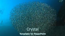  Presentation with fish ocean - Amazing slide deck having sardines-fish-baitball-in-ocean backdrop and a ocean colored foreground