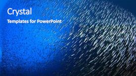  Presentation with sardines - Theme consisting of sardines fish fry background and a teal colored foreground