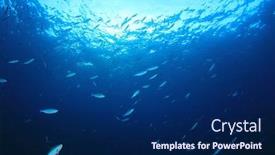  Presentation with fish ocean - Cool new presentation theme with sardines-fish-in-ocean backdrop and a navy blue colored foreground
