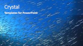  Presentation with sardines - Cool new PPT layouts with sardines fish underwater in ocean backdrop and a teal colored foreground