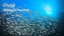  Presentation with philippines environment - Colorful presentation theme enhanced with philippines environment - sardines fish underwater backdrop and a teal colored foreground