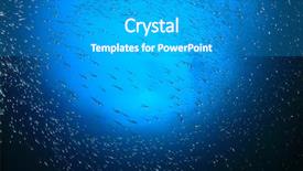  Presentation with sardines - PPT theme consisting of sardines fish underwater background and a light gray colored foreground