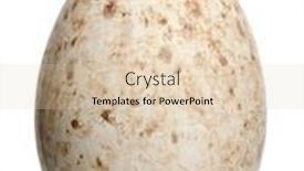  Presentation with mobile crane on a road - Beautiful slides featuring sarus-crane-egg-grus-antigone backdrop and a lemonade colored foreground