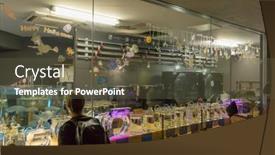  Presentation with october - 