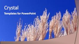  Presentation with sky blue - Cool new presentation design with sate - fluffy cane on blue sky backdrop and a  colored foreground