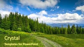 Presentation with dark forest landscape - Theme with sate - summer landscape mountain path background and a tawny brown colored foreground