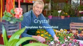  Presentation with caring - Presentation consisting of satisfied-gardener-or-florist background and a ocean colored foreground