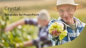  Presentation with grape vine - Audience pleasing theme consisting of satisfied-winegrower-at-the-grape backdrop and a coral colored foreground