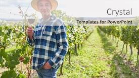  Presentation with wine - Slides having satisfied-winegrower-with-a-glass background and a white colored foreground