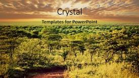  Presentation with serengeti africa - Theme enhanced with savane - serengeti savanna landscape with road background and a coral colored foreground