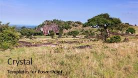  Presentation with west africa - Colorful presentation theme enhanced with savanna bush landscape of africa backdrop and a coral colored foreground