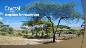  Presentation with serengeti africa - Amazing presentation design having savanna landscape acacia trees backdrop and a teal colored foreground