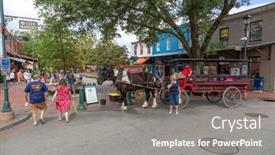  Presentation with savannah - 