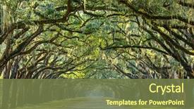 Presentation with savannah - PPT layouts featuring savannah georgia usa oak tree background and a tawny brown colored foreground