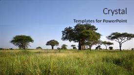 Presentation with savannah - Colorful theme enhanced with savannah in the tarangire national backdrop and a light blue colored foreground