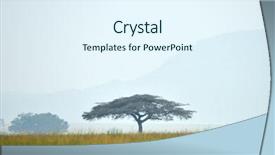  Presentation with savannah - Audience pleasing PPT theme consisting of savannah in the tarangire national backdrop and a  colored foreground