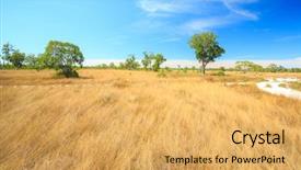  Presentation with savannah - PPT theme having savannah landscape in southern background and a yellow colored foreground
