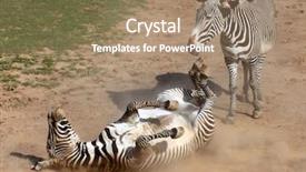  Presentation with dust - Slide set consisting of warning cholera professional doctor use computer and medical equipment all around desktop top view background and a light gray colored foreground