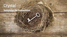  Presentation with key - Audience pleasing theme consisting of save birds - concept of home - door backdrop and a  colored foreground