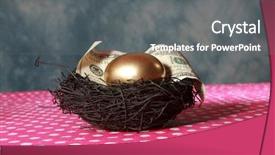  Presentation with 401k - Audience pleasing theme consisting of save birds - nest egg a solid 24k backdrop and a gray colored foreground