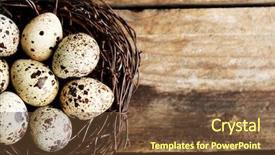  Presentation with bird eggs - Cool new presentation theme with easter cooking still life - bird eggs in nest backdrop and a tawny brown colored foreground
