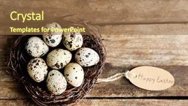  Presentation with bird eggs - Slide set with bird eggs in nest background and a tawny brown colored foreground