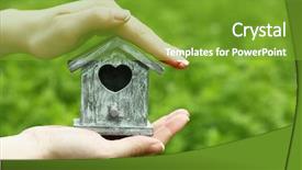  Presentation with box - Theme with save birds - decorative nesting box in female background and a tawny brown colored foreground