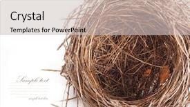  Presentation with empty cross - Slide set featuring save birds - empty nest isolated on white background and a light gray colored foreground