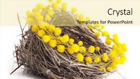  Presentation with branch - Colorful theme enhanced with save birds - empty nest with a branch backdrop and a blonde colored foreground