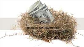  Presentation with egg - PPT layouts featuring financial nest egg concept 100 background and a lemonade colored foreground