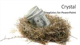  Presentation with egg - Colorful theme enhanced with save birds - financial nest egg concept 100 backdrop and a white colored foreground