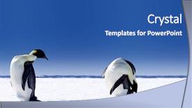  Presentation with global warming - Theme enhanced with global warming in antarctica background and a ocean colored foreground