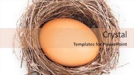  Presentation with egg - Colorful slide deck enhanced with save birds - nest with one egg isolated backdrop and a coral colored foreground
