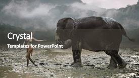  Presentation with huda beauty - PPT theme having save birds - sensual blonde beauty posing background and a dark gray colored foreground