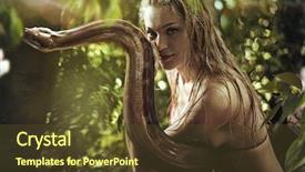  Presentation with elephant - Presentation design featuring save birds - sensual blonde beauty posing background and a tawny brown colored foreground