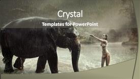  Presentation with elephant - Slide set enhanced with save birds - sensual blonde beauty posing background and a gray colored foreground